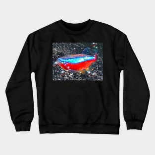 Neon Tetra Crewneck Sweatshirt